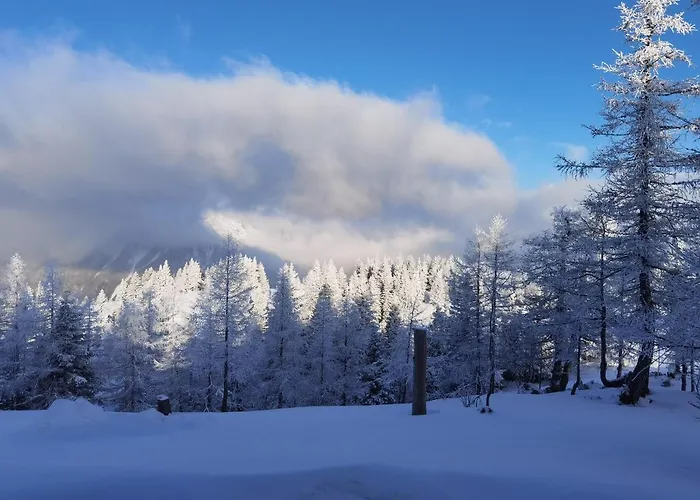 Velika Planina - Chalet Rusovc - Location With Fully Privacy Chalet *